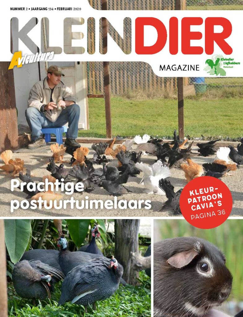 Kleindier Magazine Februari 2020