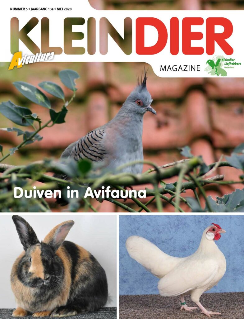 Kleindier Magazine Mei 2020