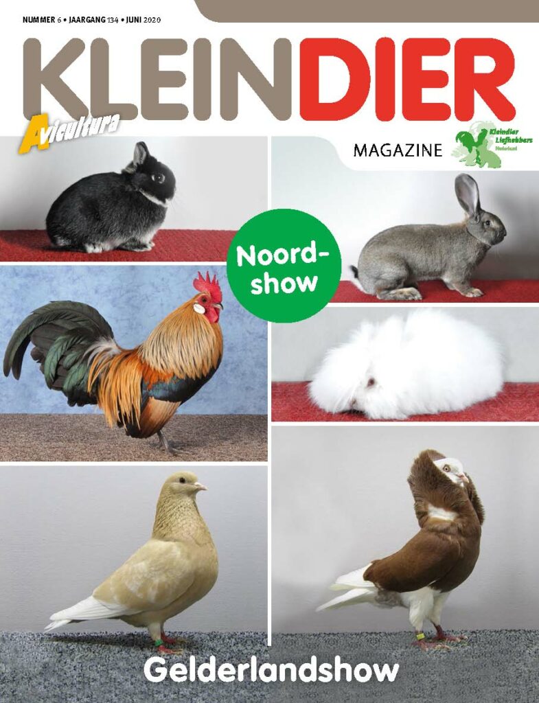 Kleindier Magazine Juni 2020