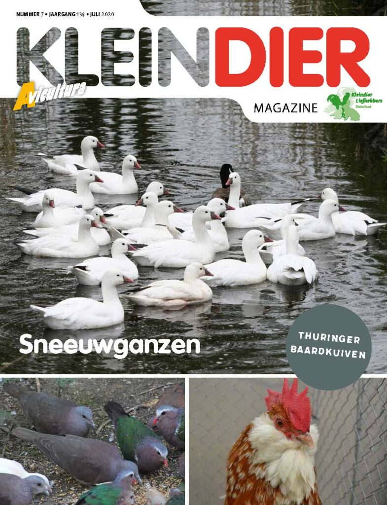Kleindier Magazine Juli 2020