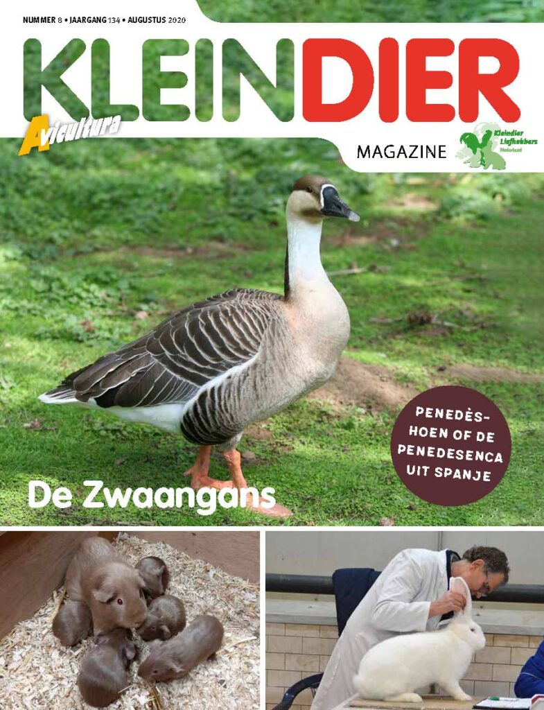 Kleindier Magazine Augustus 2020