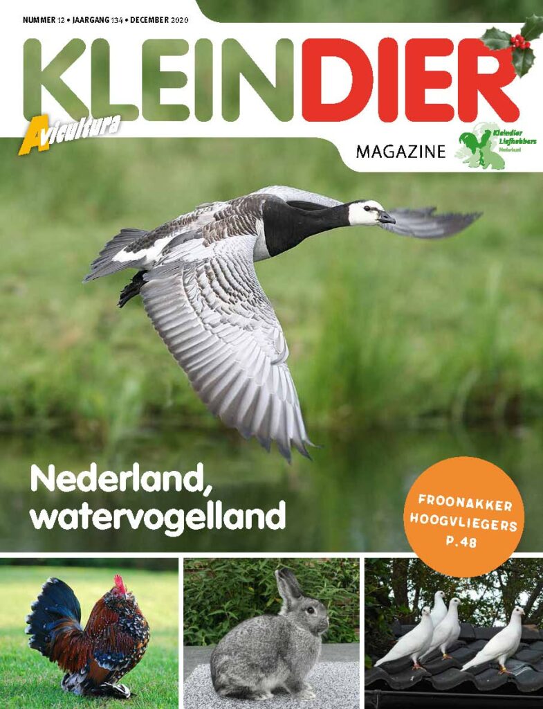 Kleindier Magazine December 2020