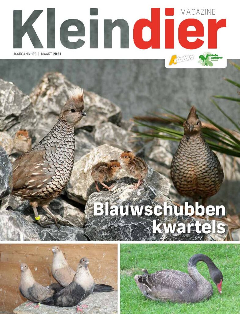 Kleindier Magazine Maart 2021