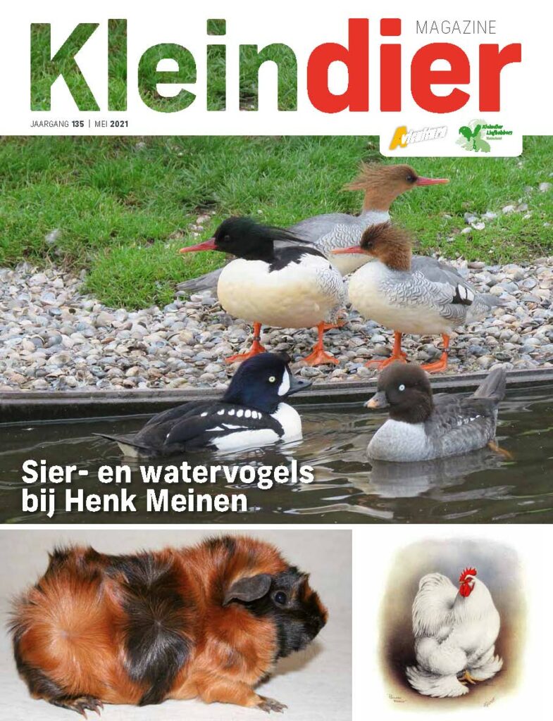 Kleindier Magazine Mei 2021