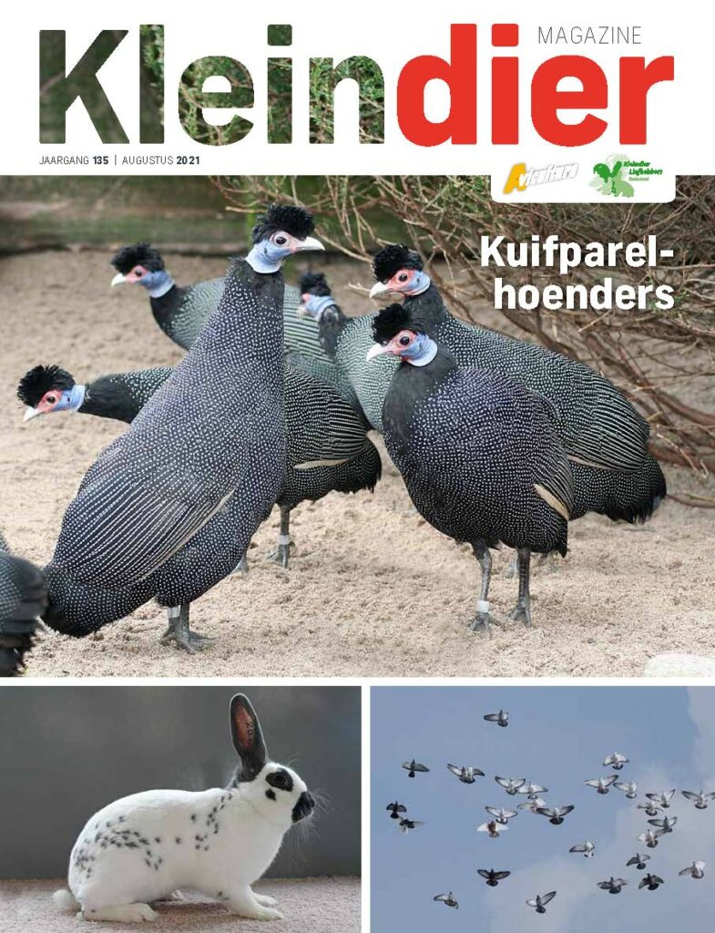 Kleindier Magazine Augustus 2021
