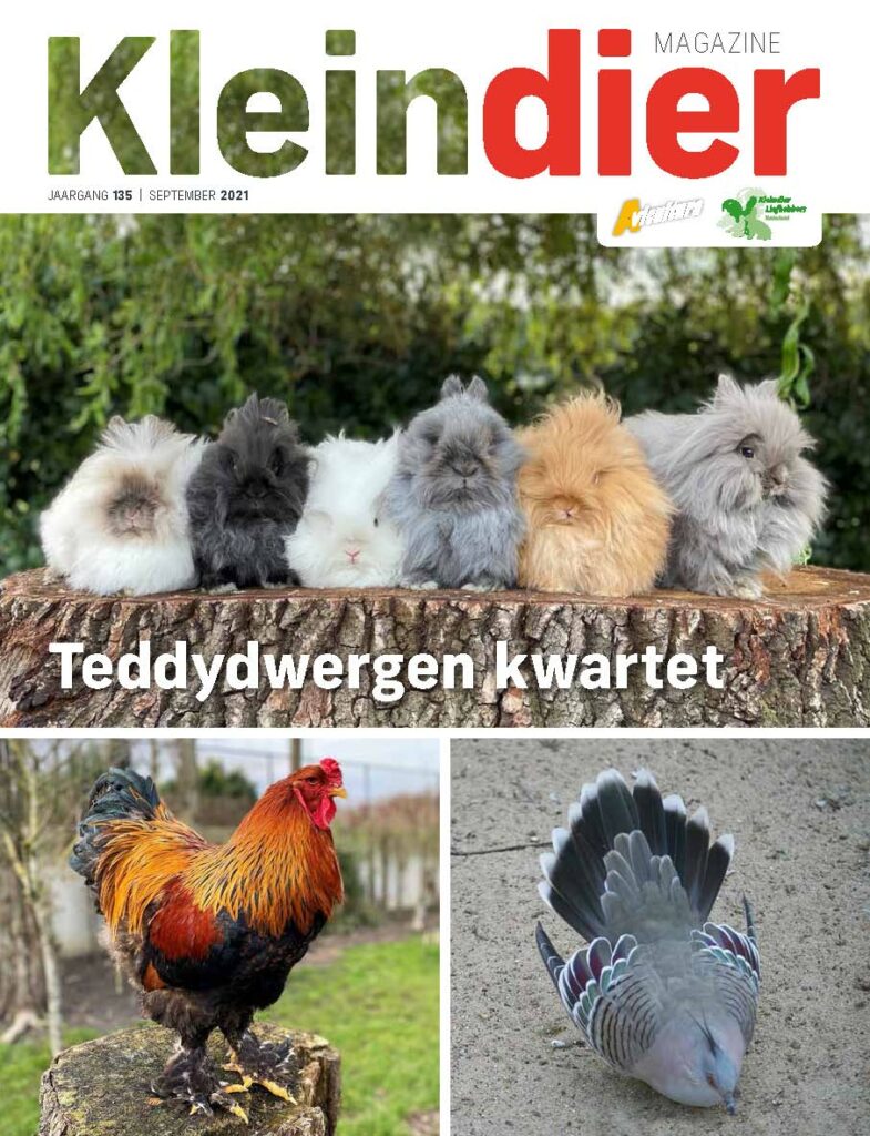 Kleindier Magazine September 2021