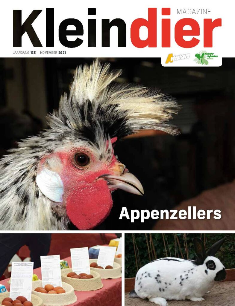 Kleindier Magazine November 2021