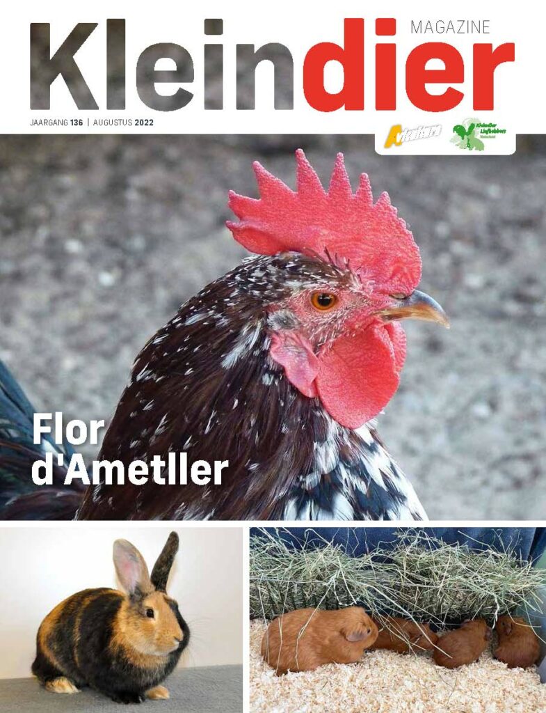 Kleindier Magazine Augustus 2022